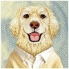 Etui Nimmy Gentle Pets Series Dog        MagSafe do iPhone 17 Pro Max brązowy